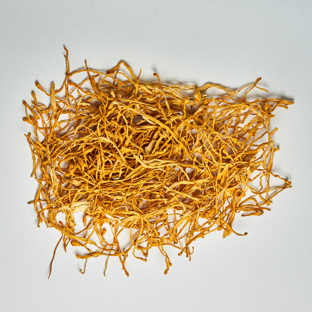 Cordyceps Militaris