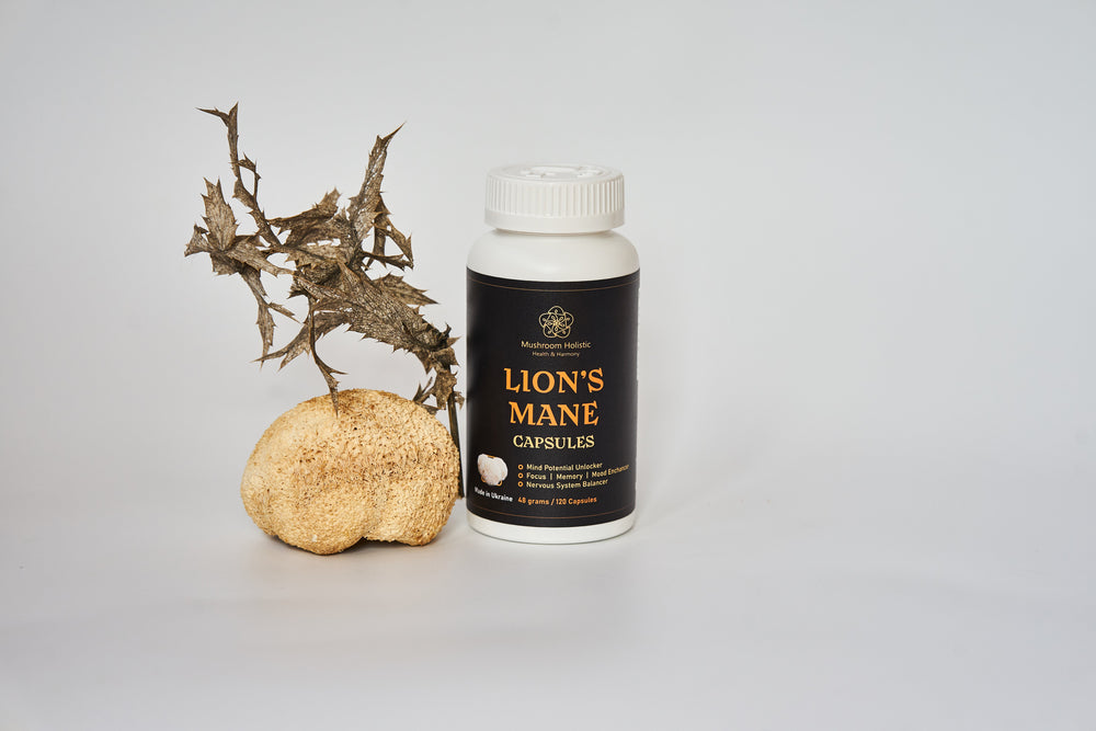 Lion’s mane mycelium in capsules