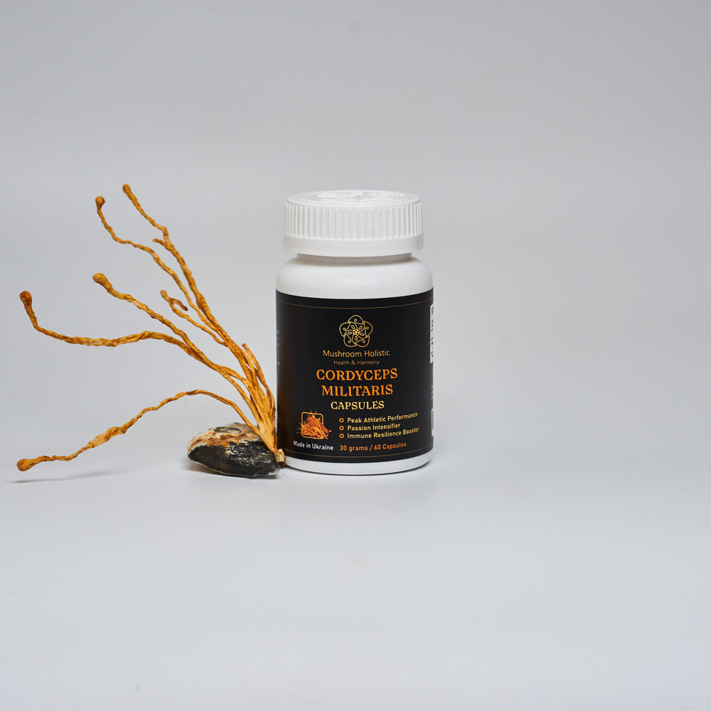 
                  
                    Cordyceps militaris mushroom in capsules
                  
                