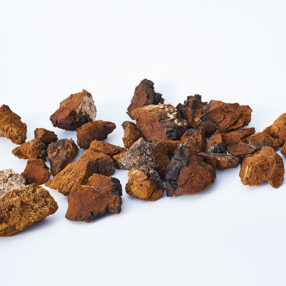 Chaga