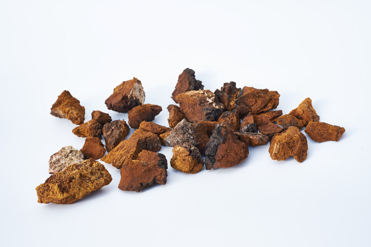 Chaga