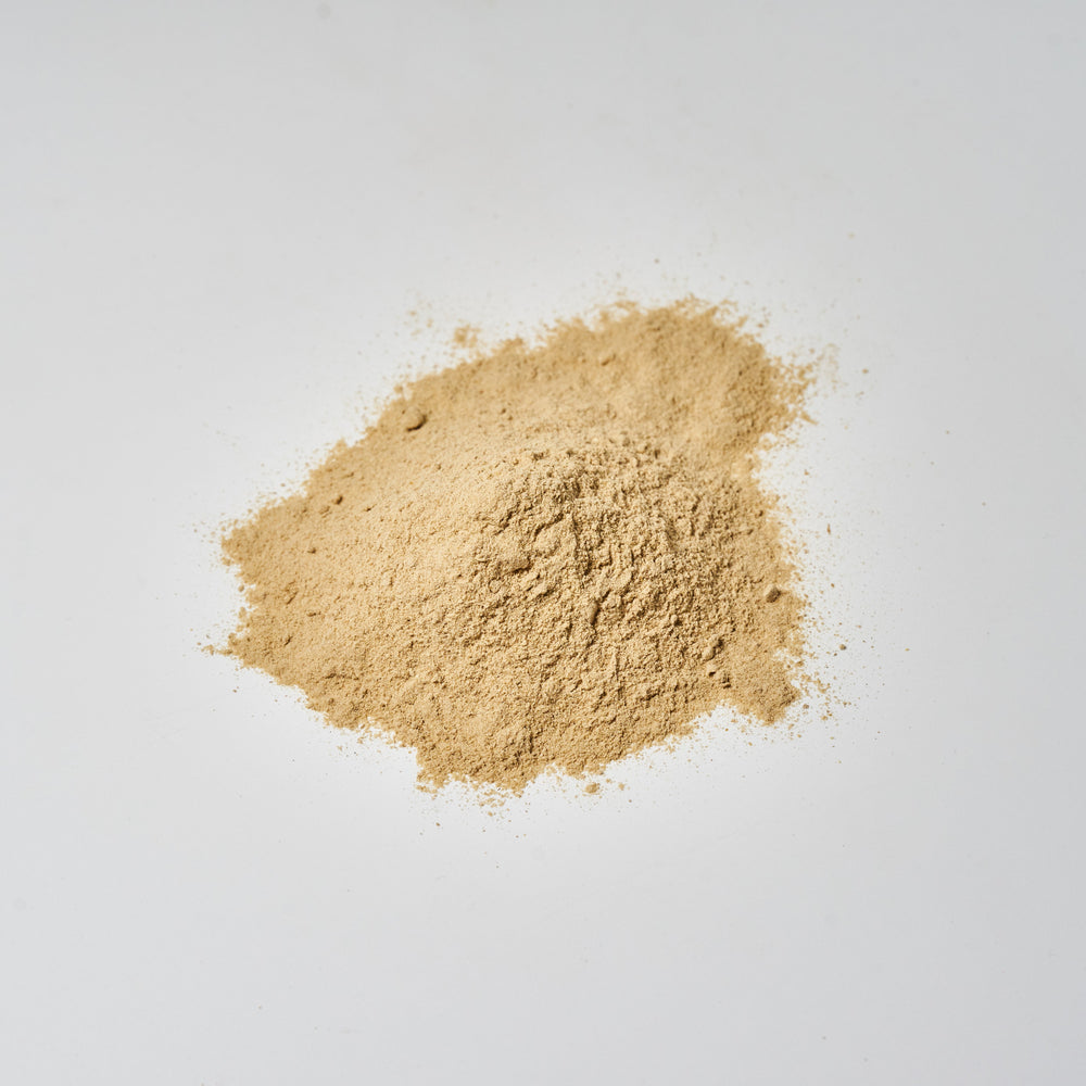 
                  
                    Lion’s mane mycelium powder
                  
                