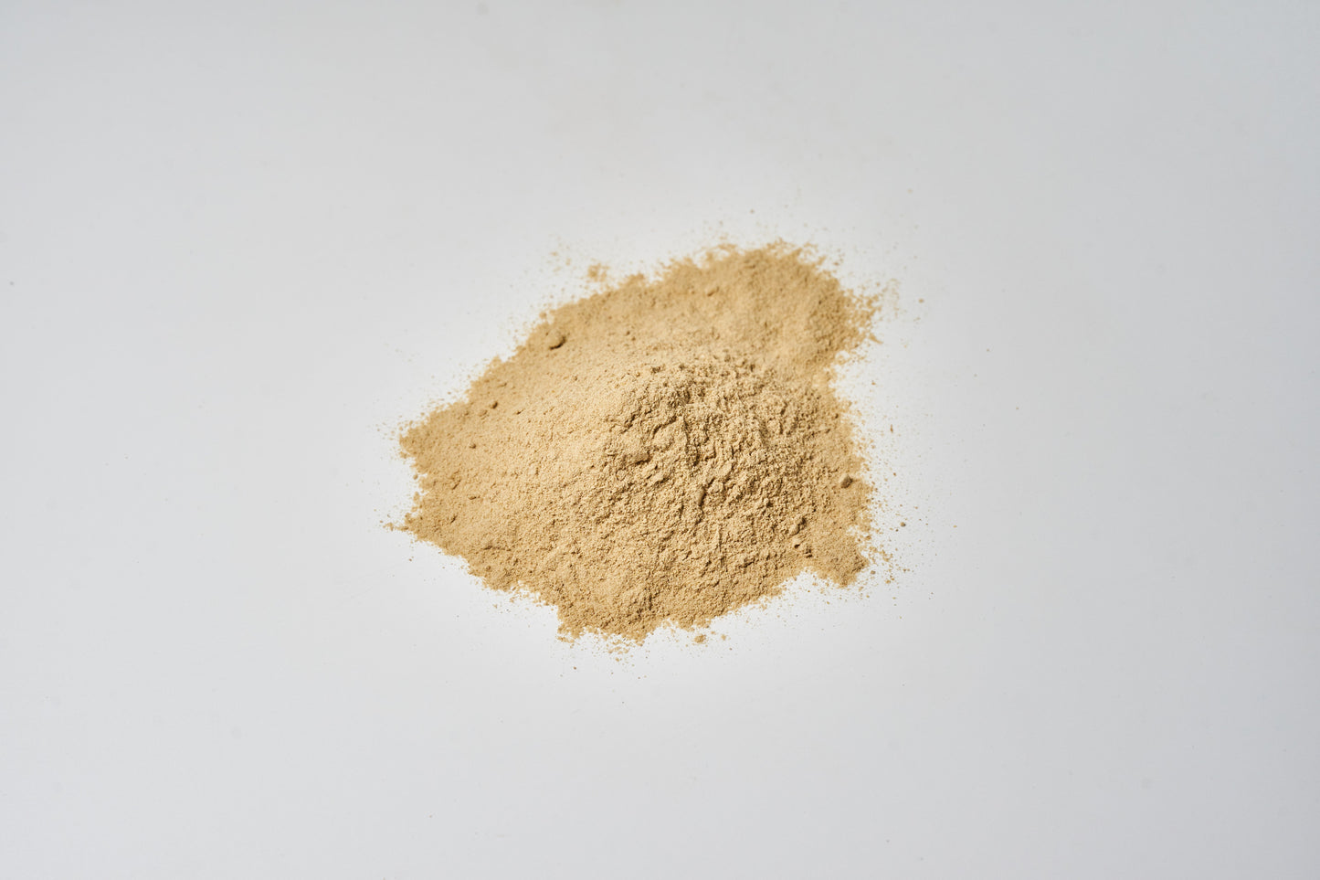 
                  
                    Lion’s mane mycelium powder
                  
                