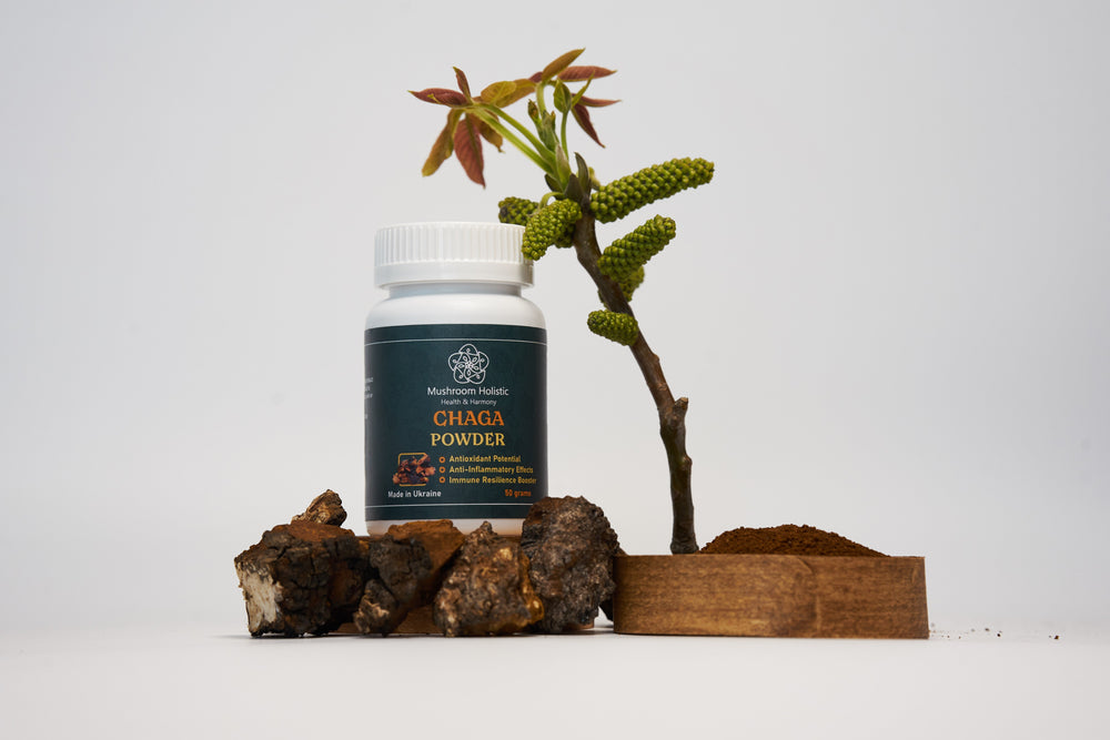 Chaga mushroom powder