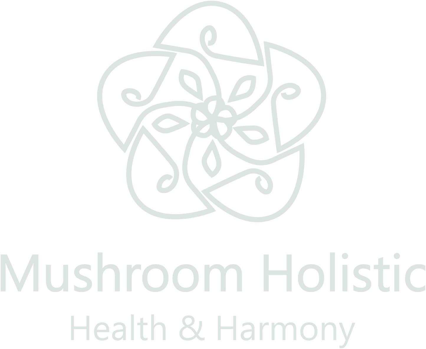 Mushroom Holistic LLC