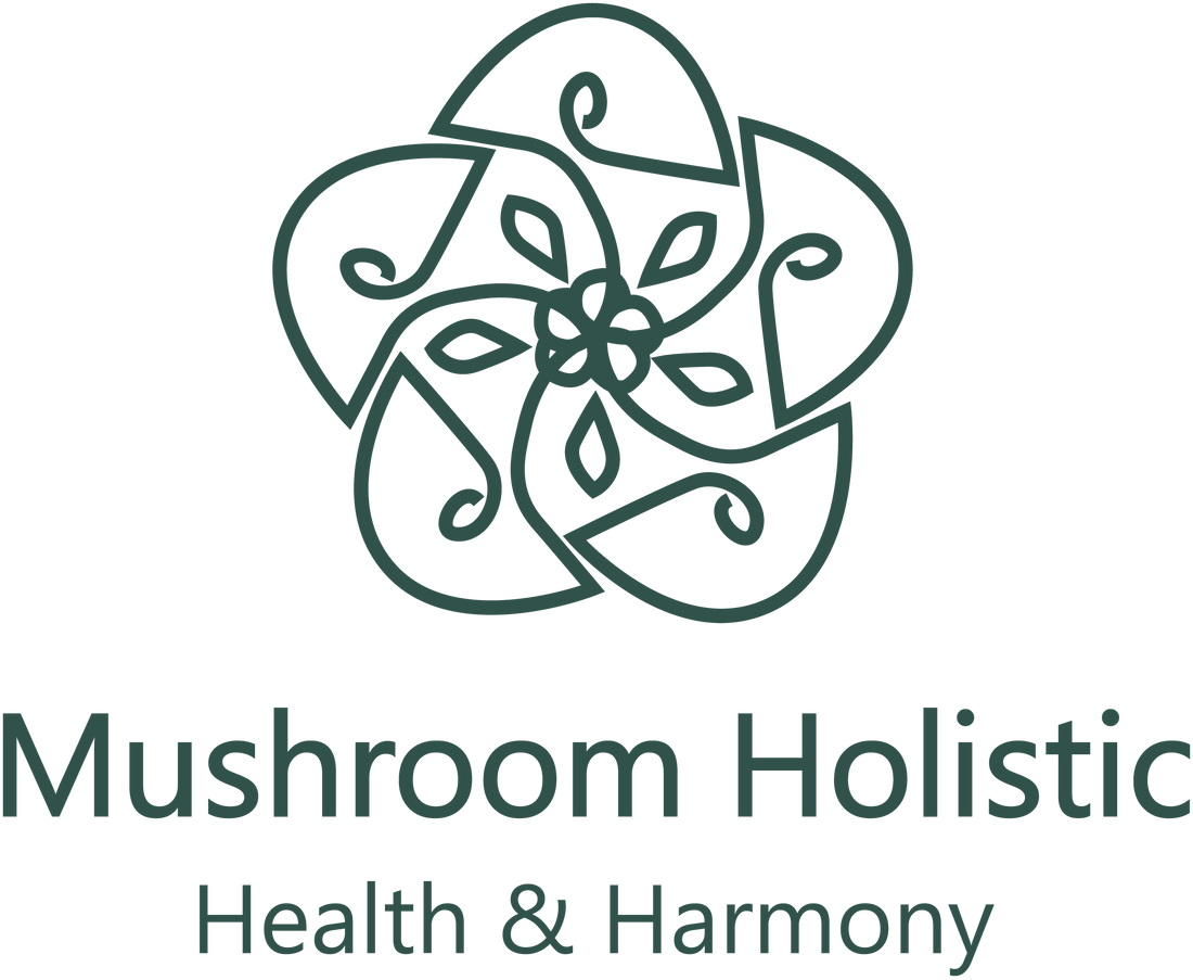 Mushroom Holistic LLC