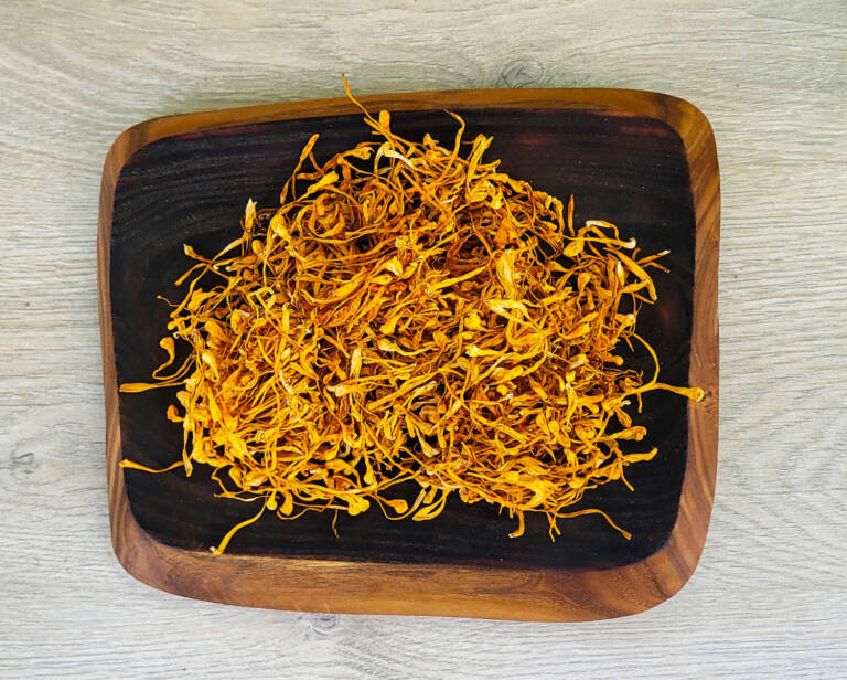 
                  
                    Cordyceps militaris mushroom
                  
                